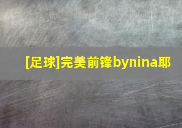 [足球]完美前锋bynina耶